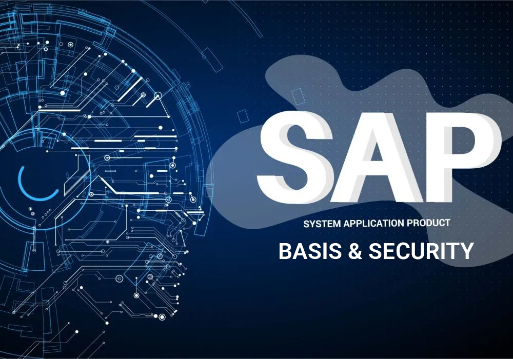 SAP BASIS & SECURITY PROGRAM