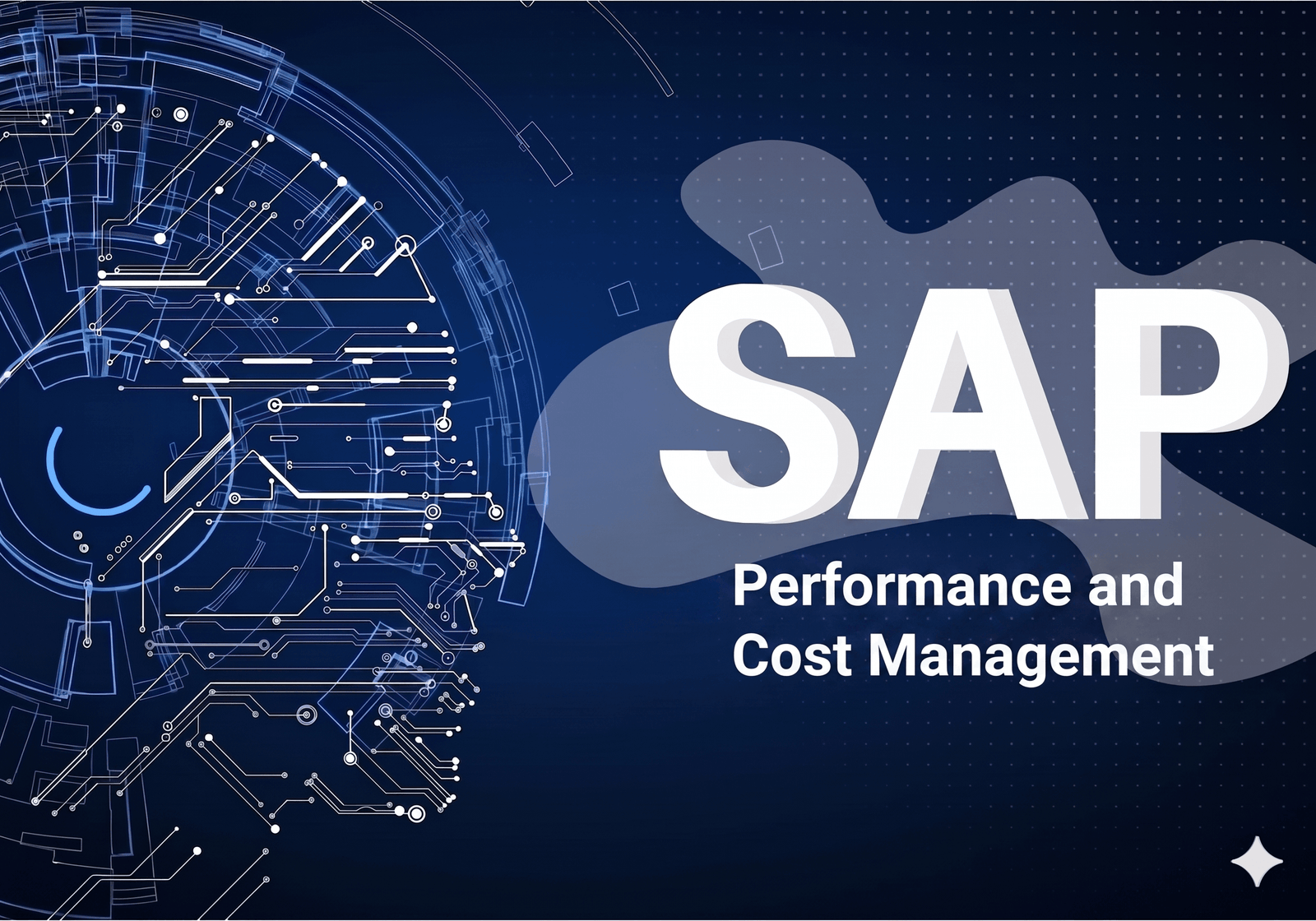 SAP PCM (Profitability and Cost Management)